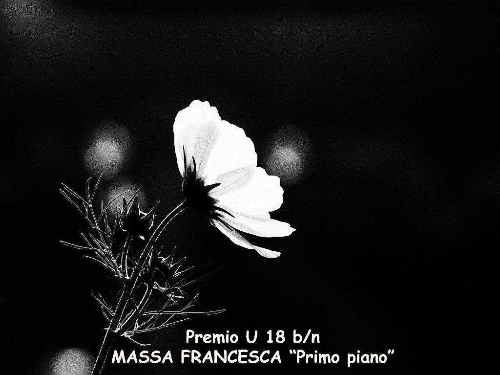 Miglior Under 18 bn Massa Francesca PRIMO PIANO copia.jpg